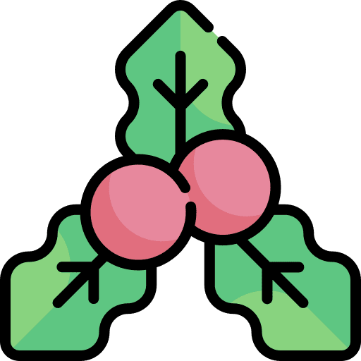 Mistletoe christmas holly mistletoe icon