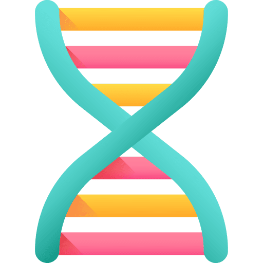Dna genetical dna education icon