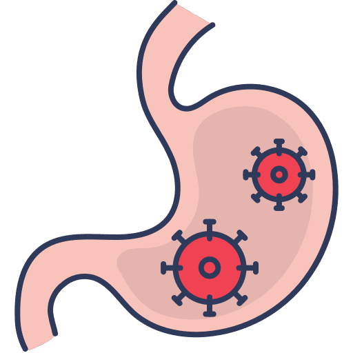 Kidney kidney healthcare and medical organ icon