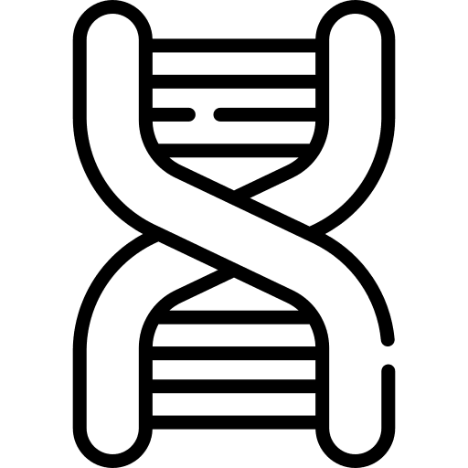 Dna structure dna structure genetical science icon