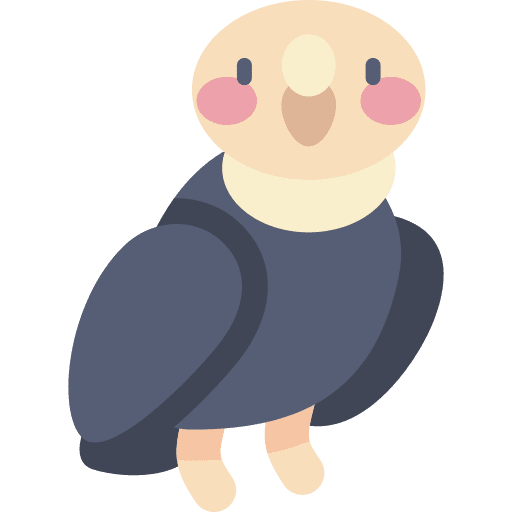 Condor condor bird animals icon