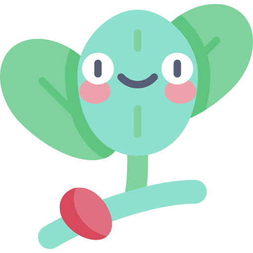 Coca botanical plant coca icon