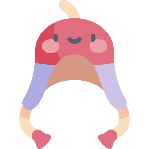 Chullo hat accessory clothing icon