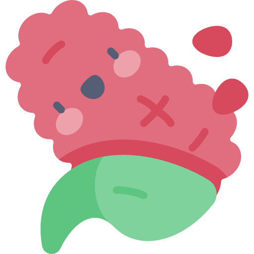 Corn traditional farming cereal icon