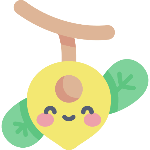 Lucuma fruit andes organic icon