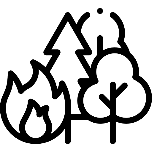 Forest fire trees natural disaster nature icon