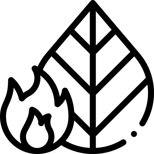 Leaf tree ecology and environment flames icon