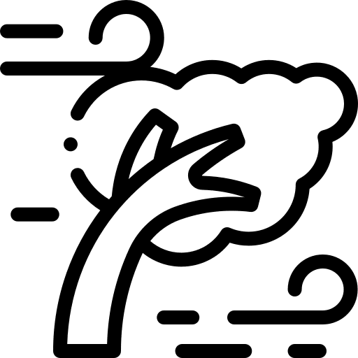 Wind cyclone meteorology tree icon