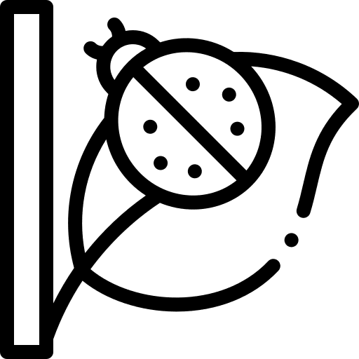 Ladybug insect ladybug garden icon