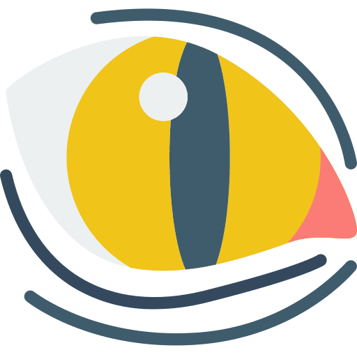 Eye evil eye look icon