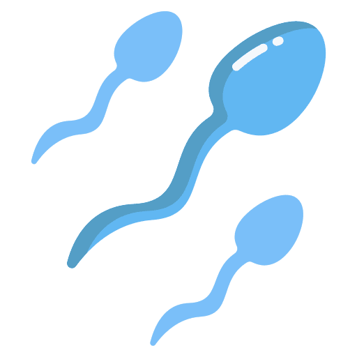 Sperms sperms reproduction fertility icon