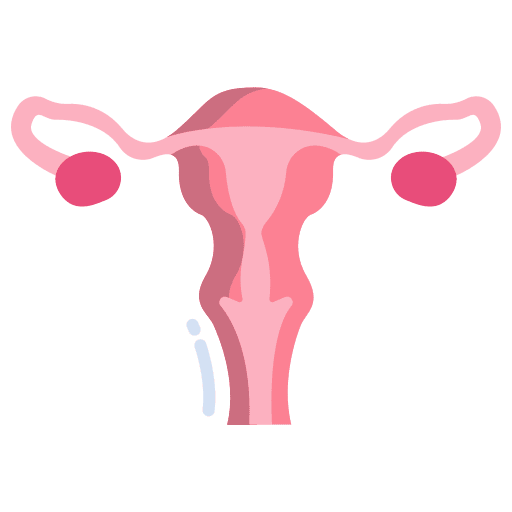 Uterus uterus anatomy reproduction icon