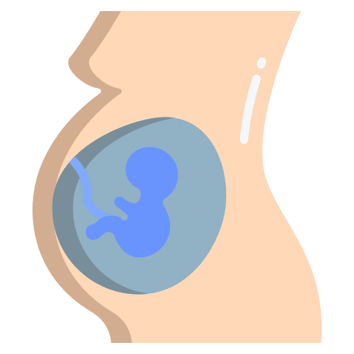Pregnancy pregnancy fertility gestation icon