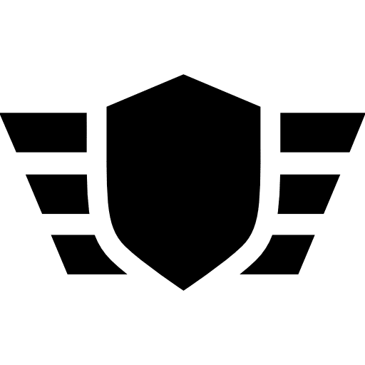 Insignia rank military army icon