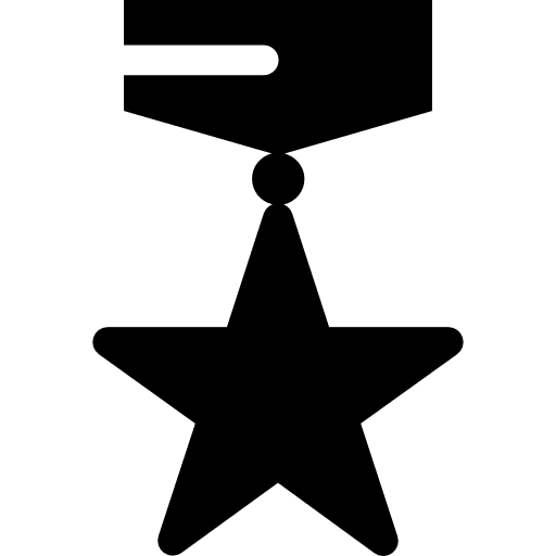 Insignia badge range medal icon