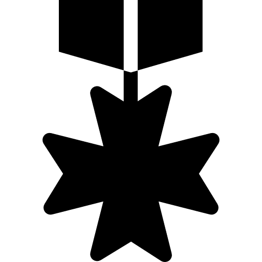 Insignia sign medals signs icon