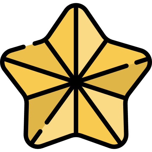 Star christmas shapes shapes and symbols icon