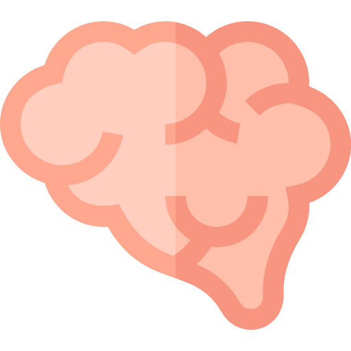Brain brain anterior body part medical icon