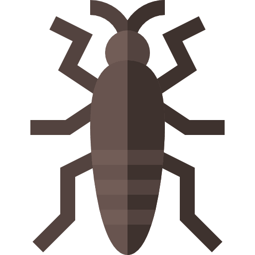 Insect bug bugs animal icon