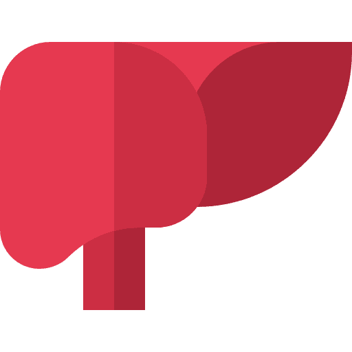 Liver organ liver healthcare and medical icon