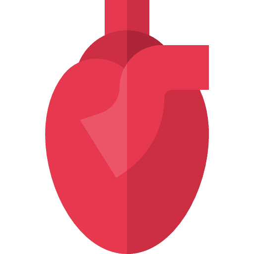Heart body parts body part organ icon