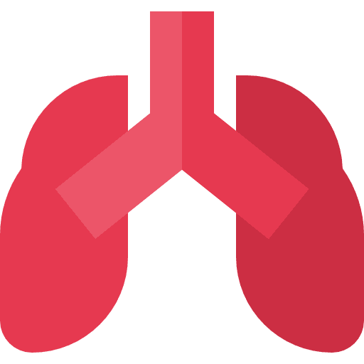 Lungs healthcare and medical anatomy breathing icon
