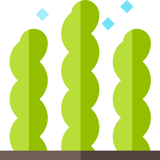 Seaweed aquatic seaweed nature icon