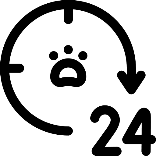 24 hours information healthcare and medical veterinary icon