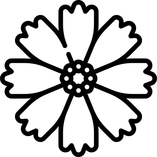 Pink cosmos jungle botanical nature icon