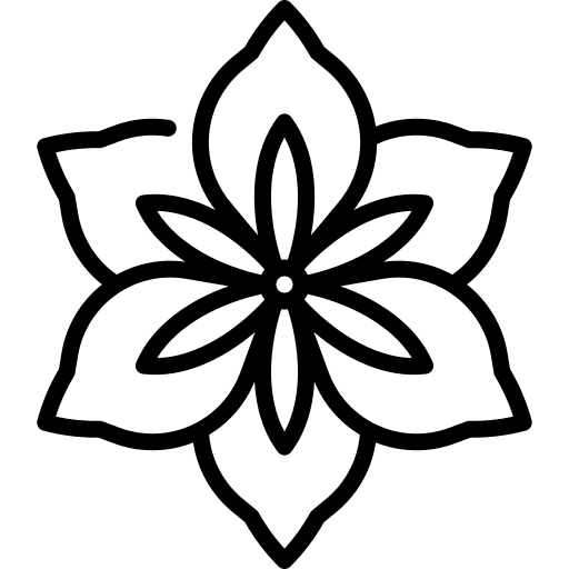 Amaryllis petals bloom nature icon