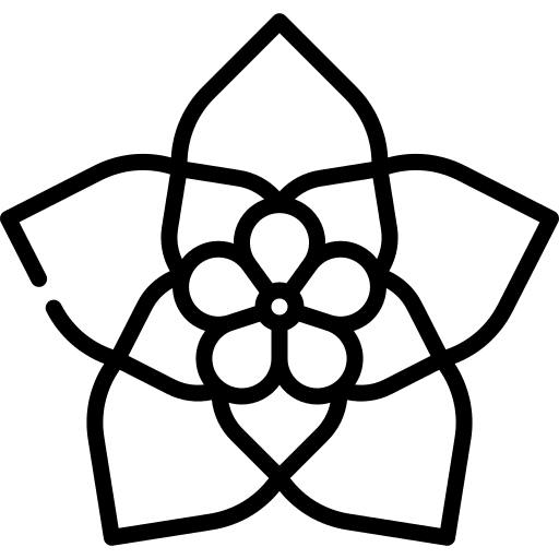 Hoya blossom flower hoya icon