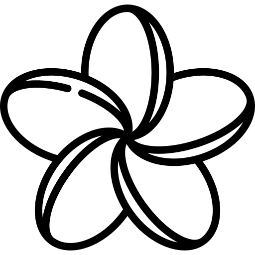 Plumeria petals blossom botanical icon