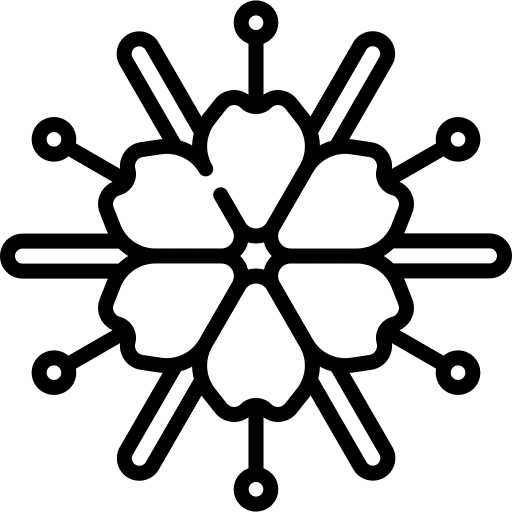 Spider petals flower blossom icon