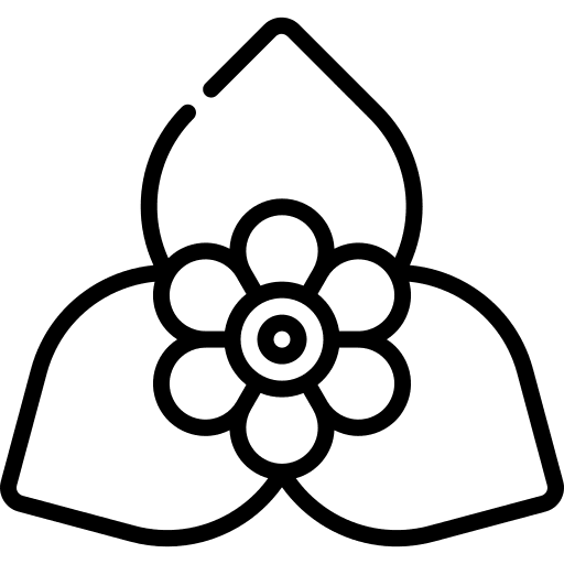 Bougainvillea flower nature bougainvillea icon