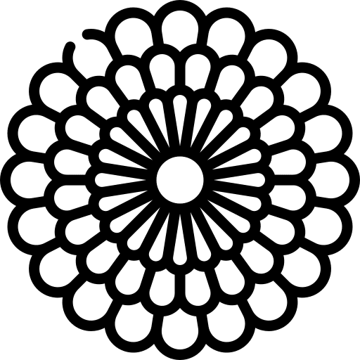 Chysanthemum blossom nature petals icon