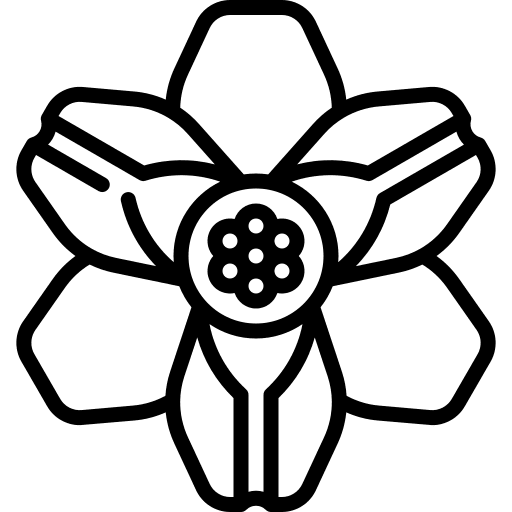 Day blossom petals nature icon