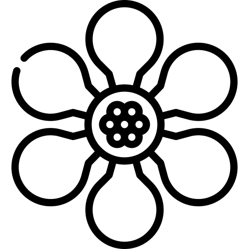 Ficus flower botanical ficus icon