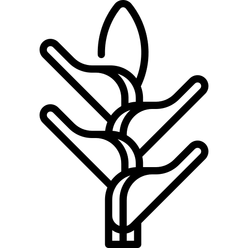 Heliconia flower heliconia botanical icon