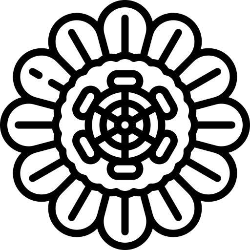 Passiflora nature blossom flower icon