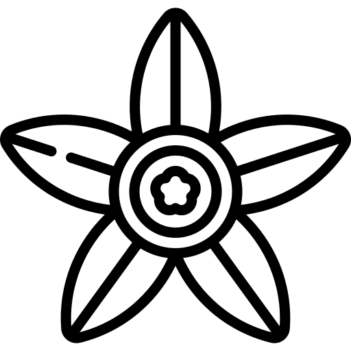 Tapioca flower tapioca flower petals nature icon