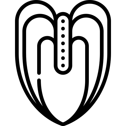 Anthurium blossom anthurium flower icon