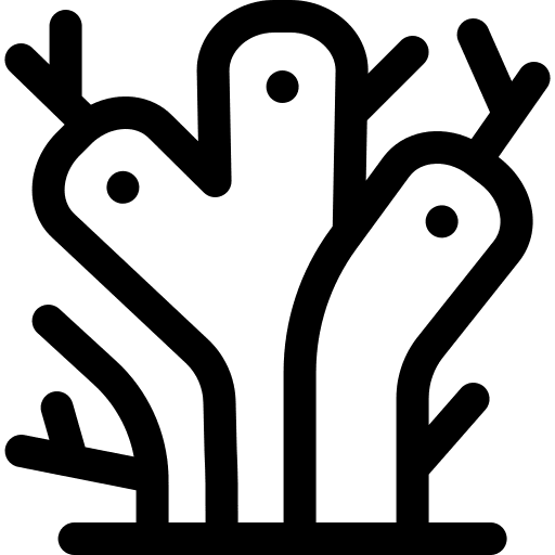 Coral coral reef ocean ecology and environment icon