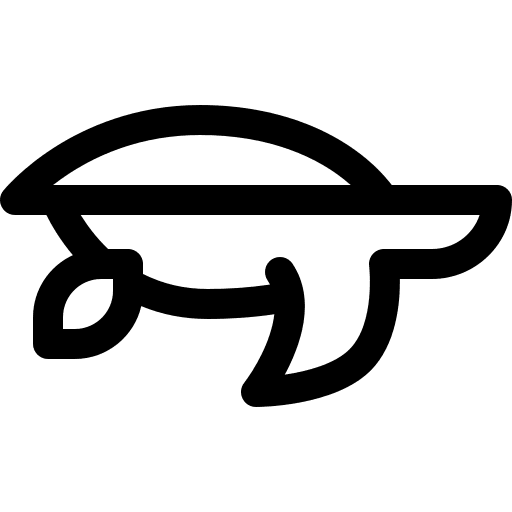 Turtle animal aquatic animals icon