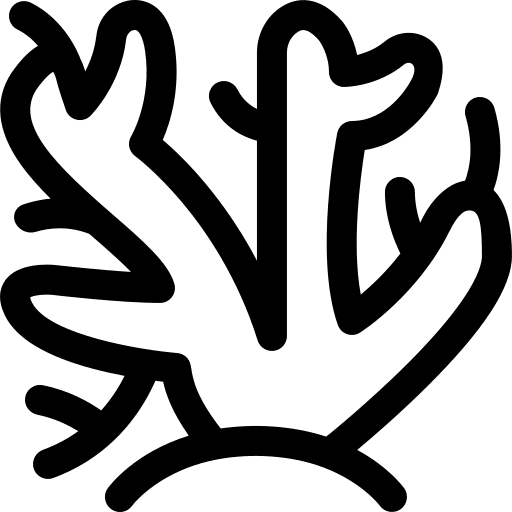 Coral coral reef sea nature icon