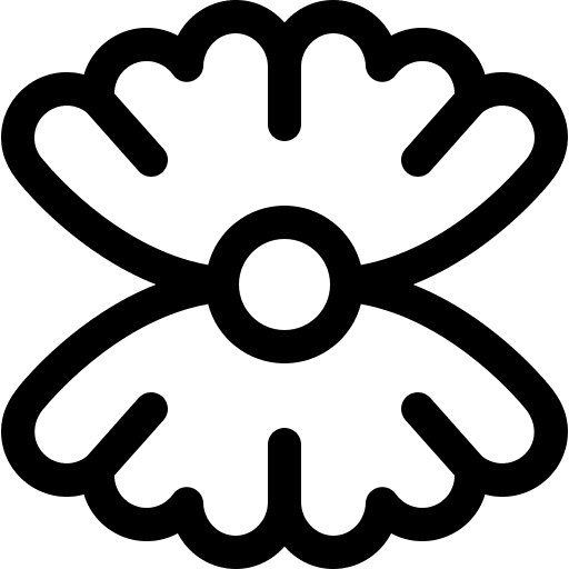 Shell shell mollusc sea life icon