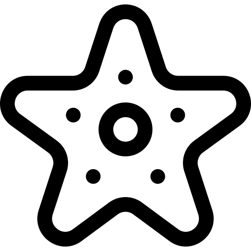 Starfish starfish aquatic animals icon