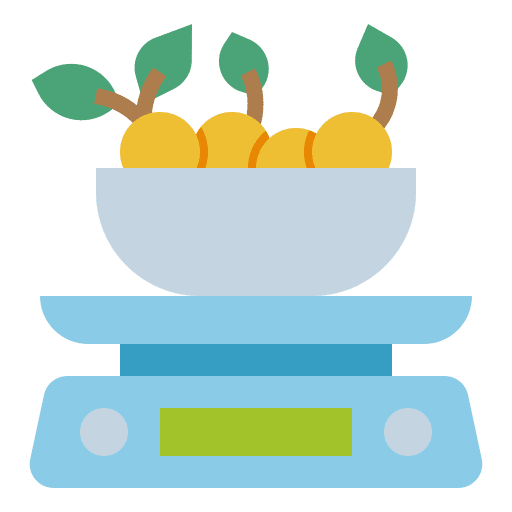Scale grocery scale fitness scale icon