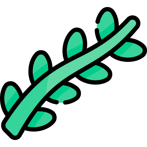 Olive hebrew cultures olive icon