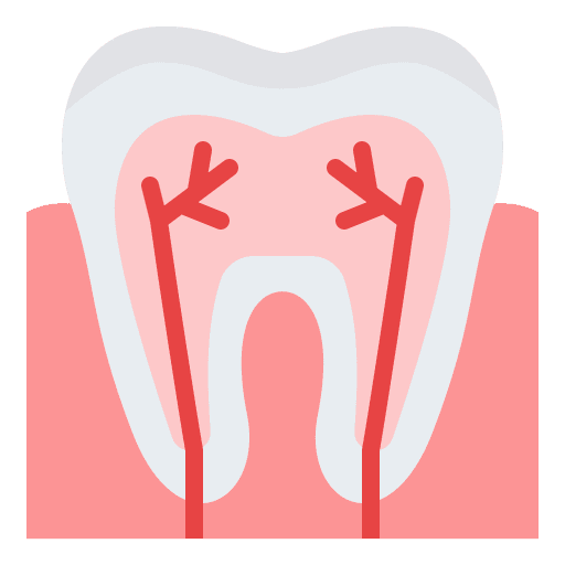 Teeth nerve teeth molar icon