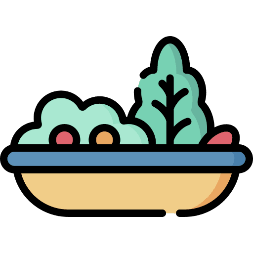 Salad bowl vegan salad icon